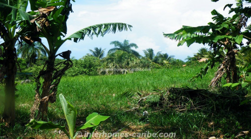 photos for SOSUA: LOT UDO WITH A BEAUTIFUL VIEW