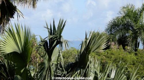 photos for Sosúa: reduced from US $ 48. - to US $ 29. -, lot of 6,666 m² (1.65 acres), with fantastic sea views