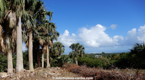 photos for Sosúa: reduced from US $ 48. - to US $ 29. -, lot of 6,666 m² (1.65 acres), with fantastic sea views