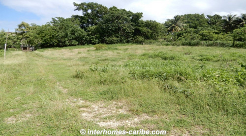 photos for CABARETE: LOT OF 3.21 ACRES (13.000 m²) FOR VERSATILE DEVELOPMENT