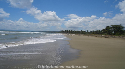 photos for LAS CAÑAS: LAND OF 25,000 M² / 6.18 ACRE WITH DIRECT SEA FRONT, OWNER FINANCING