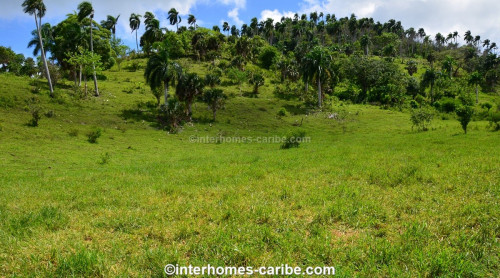 photos for SOSUA ABAJO: LOTS FROM 1,500 M² (16,146 ft²) AND LARGER, LOCATED CLOSE TO SOSUA